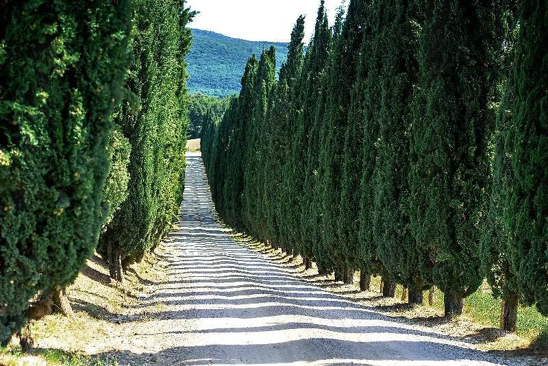 Borgo Di Pietrafitta Relais Apartment Castellina in Chianti 0*,  Italy